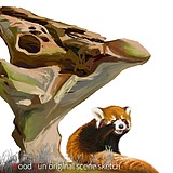 南瓜奶兔的头像