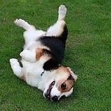 lucyworship的头像
