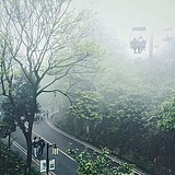 阿莉不好吃的头像