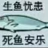 bunnykiller的头像