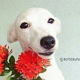 爱吃洋芋片片的头像