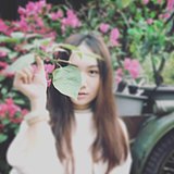 pengzhiy的头像