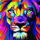翻滚吧橙子的头像