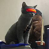 射即湿MDZZ的头像