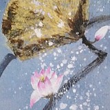 晓虨的头像