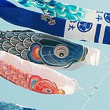 Kkmail的头像