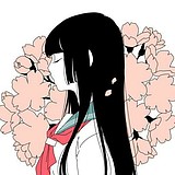 cherry树的头像