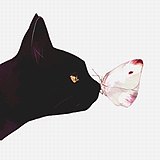 一缕阳光的温暖的头像