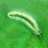 劭aaaaa的头像