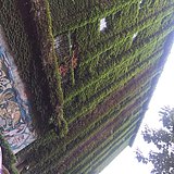闫若兮Yx的头像