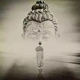 城市老狼的头像