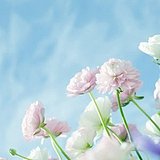 晴晴baby的头像