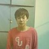 柔风吻柳的头像