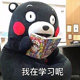 哇凉的头像