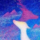 小志要加油的头像