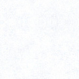 photoyee的头像