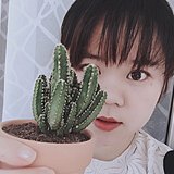 CHENCONGCONG_CCC的头像