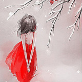 离鸢的头像