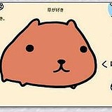 用戶頭像