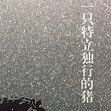 芒果小布丁ining的头像