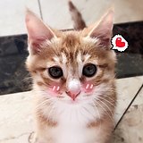 edithjing的头像
