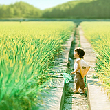Happy高的头像