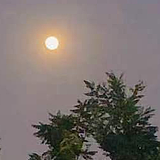 手心出汗汗的头像