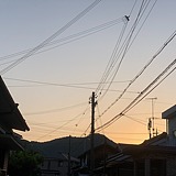 允雨的头像