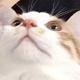 hyean的头像