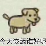 qlh666的头像