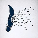 XS_Ml的头像