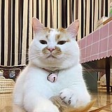 叫我阿控的头像