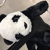 tiger1997的头像