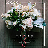 candybilibili的头像
