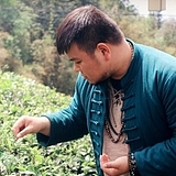 杨睿端的头像