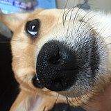 oAmoteo的头像