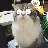 y887710050的头像