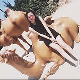 大无畏LLL的头像