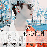 尘心的头像