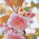 Rinrinko的头像