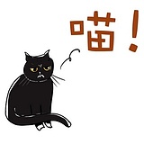 黑猫姐姐的头像