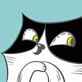 猫打劫的头像