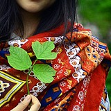 是知知吖的头像