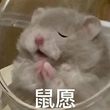 盐焗鸡的一生的头像