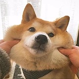 木容杰克逊的头像