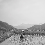 lofolio的头像