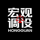 宏观调设的头像