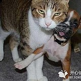 梅仁耀丶的头像