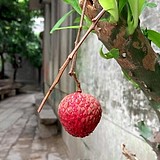 唐始源的头像