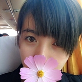 duoduoaiwan的头像